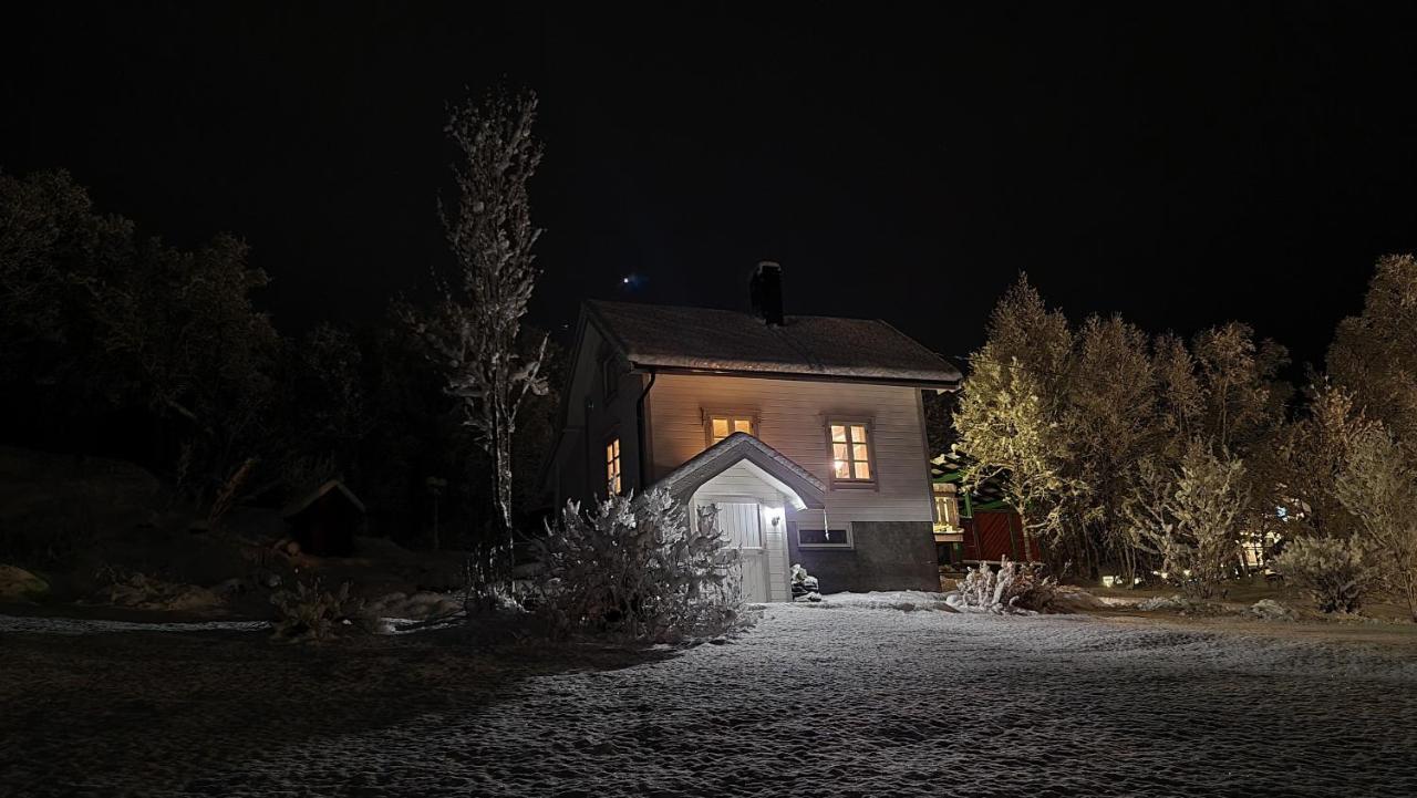Cabin Magic On Senja, Atmosphere Like A Fairytale Botnhamn Buitenkant foto