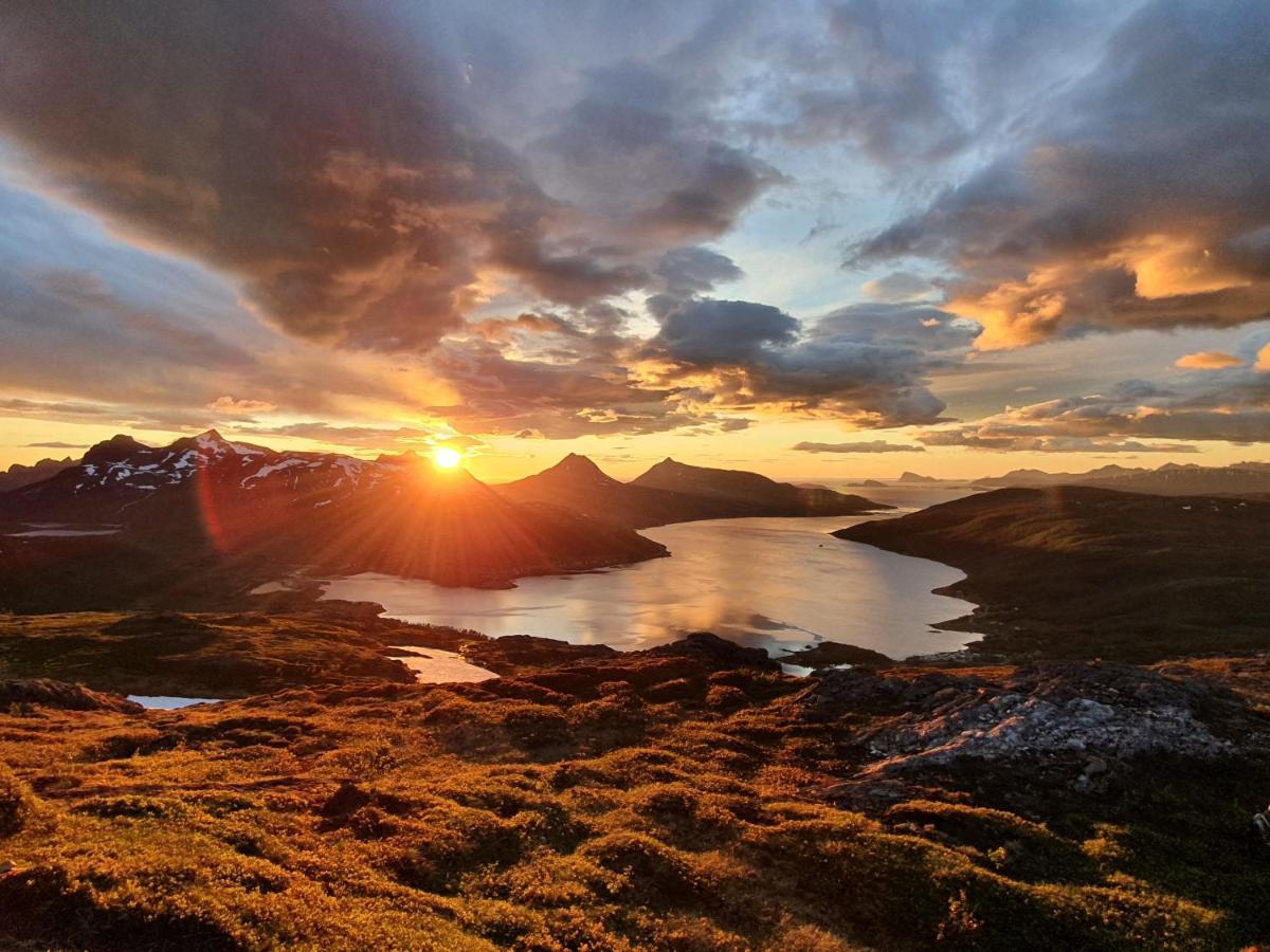 Cabin Magic On Senja, Atmosphere Like A Fairytale Botnhamn Buitenkant foto