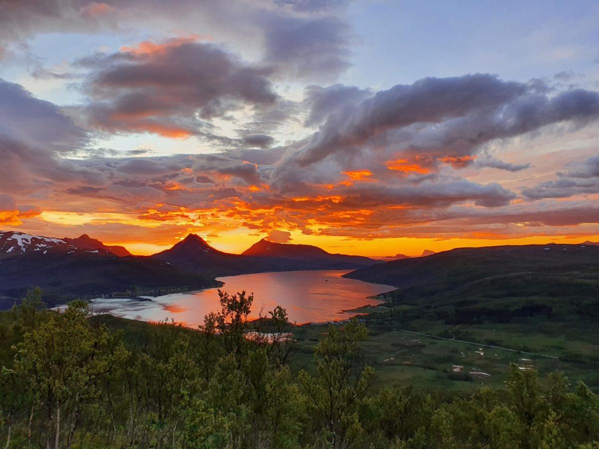 Cabin Magic On Senja, Atmosphere Like A Fairytale Botnhamn Buitenkant foto