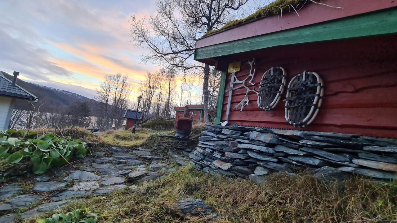 Cabin Magic On Senja, Atmosphere Like A Fairytale Botnhamn Buitenkant foto