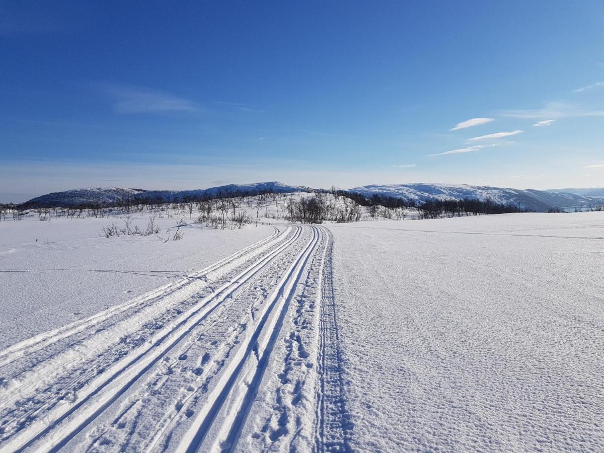 Cabin Magic On Senja, Atmosphere Like A Fairytale Botnhamn Buitenkant foto