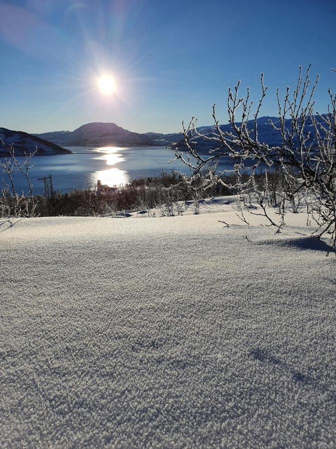 Cabin Magic On Senja, Atmosphere Like A Fairytale Botnhamn Buitenkant foto
