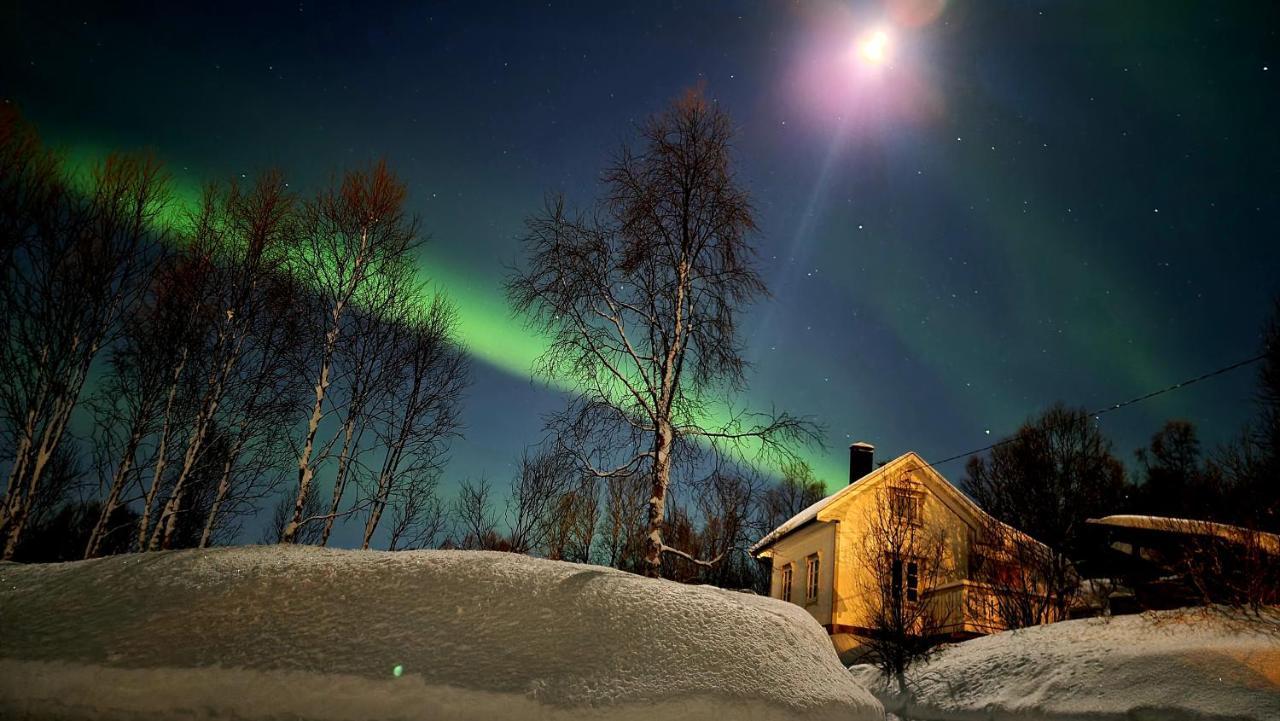 Cabin Magic On Senja, Atmosphere Like A Fairytale Botnhamn Buitenkant foto