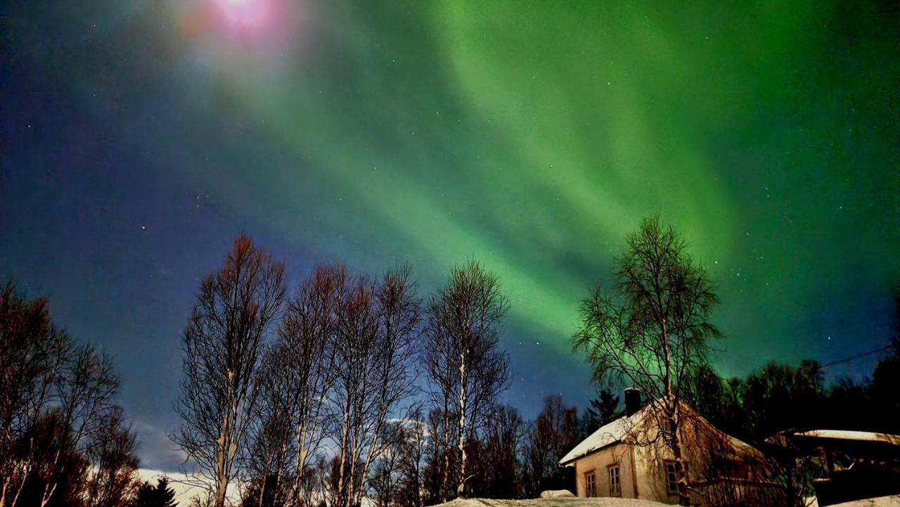 Cabin Magic On Senja, Atmosphere Like A Fairytale Botnhamn Buitenkant foto