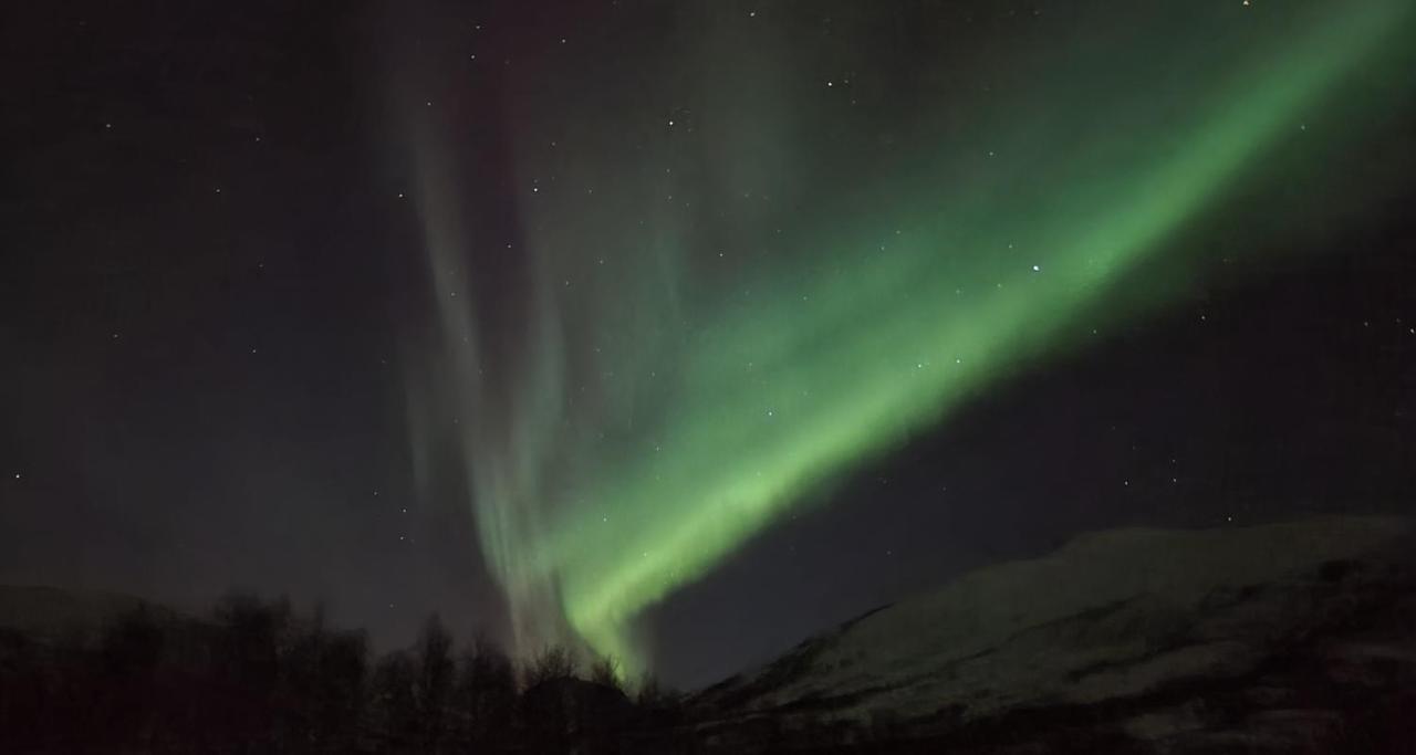 Cabin Magic On Senja, Atmosphere Like A Fairytale Botnhamn Buitenkant foto