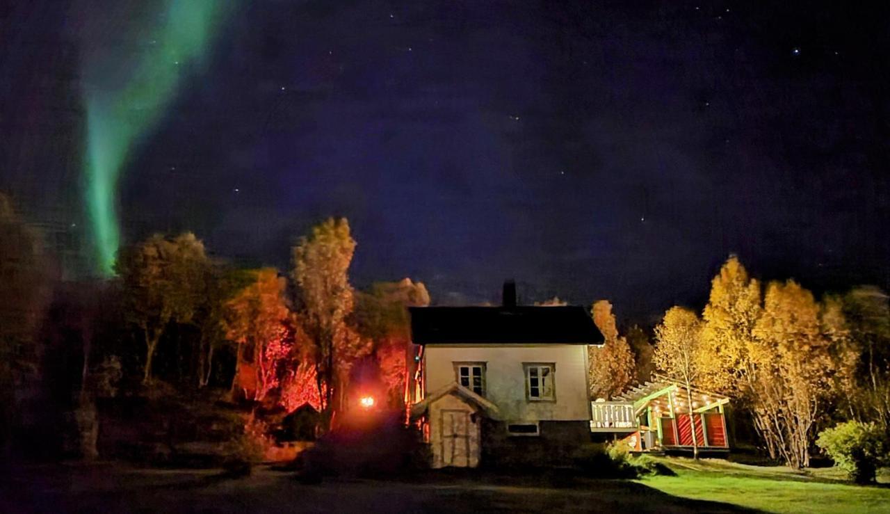 Cabin Magic On Senja, Atmosphere Like A Fairytale Botnhamn Buitenkant foto
