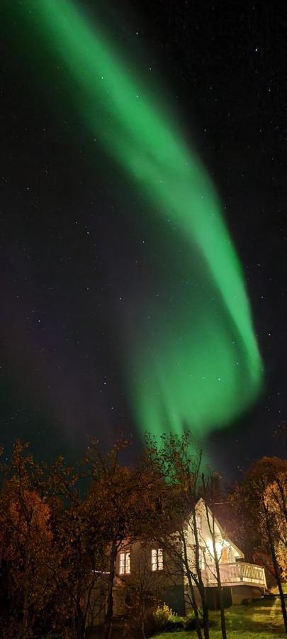Cabin Magic On Senja, Atmosphere Like A Fairytale Botnhamn Buitenkant foto