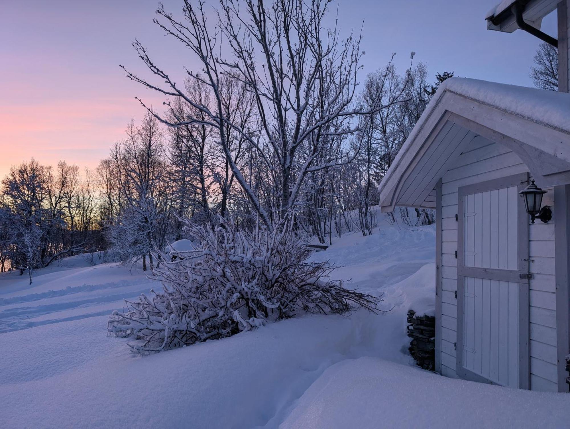Cabin Magic On Senja, Atmosphere Like A Fairytale Botnhamn Buitenkant foto